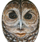 Owl Mask